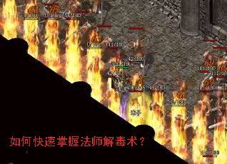 如何快速掌握法师解毒术? 如何快速掌握法师解毒术?