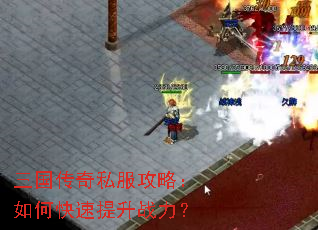 ��������˽�����ԣ���ο�������ս����