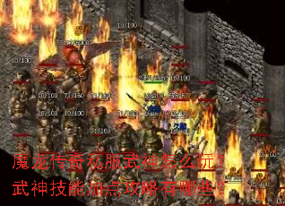 ħ������˽��������ô�棿�����ܼӵ㹥������Щ��