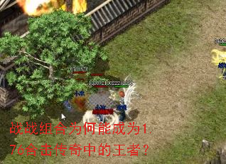 սս���Ϊ���ܳ�Ϊ1.76�ϻ������е����ߣ�