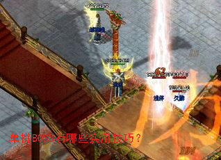 ����BOSS����Щʵ�ü��ɣ�