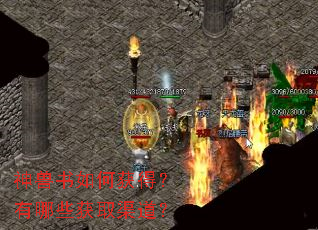 神兽书如何获得?有哪些获取渠道? 神兽书如何获得?有哪些获取渠道?