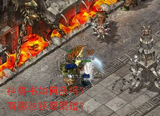 神兽书如何获得?有哪些获取渠道? 神兽书如何获得?有哪些获取渠道?