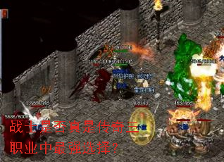 战士是否真是传奇三职业中最强选择? 战士是否真是传奇三职业中最强选择?