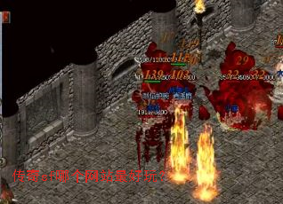 ����sf�ĸ���վ����棿