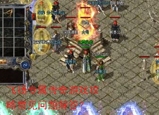 ����ר��������Ϸ���Գ���������