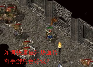 ��ο���������Ѫ�������ν�ɫ�ȼ���