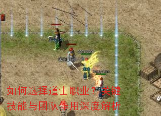 ���ѡ���ʿְҵ���ؼ��������Ŷ�������Ƚ���