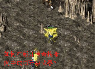 如何在新开传奇找服网中成功升级武器? 如何在新开传奇找服网中成功升级武器?