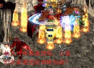 ���ô���˽����Ϸ���������ڴ����˵Ĺ���ָ�ϣ�