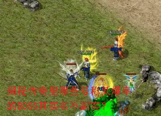 揭秘传奇里哪些号称低爆率的BOSS其实名不副实? 揭秘传奇里哪些号称低爆率的BOSS其实名不副实?