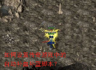 ������ô�����Ϸ�е��Զ���Ѫ�����ű���