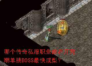 �ĸ�����˽��ְҵ���ڿ����ڵ���BOSS�����ͣ�