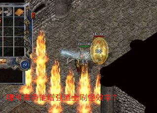 哪种毒药能增强道士刷怪效率? 哪种毒药能增强道士刷怪效率?