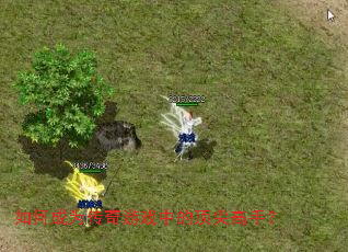 如何成为传奇游戏中的顶尖高手? 如何成为传奇游戏中的顶尖高手?