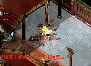 ��Ƥְҵ����ڴ�������Ϯ����