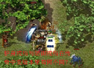 护身戒指与防御戒指在传奇中变版本里有何不同? 护身戒指与防御戒指在传奇中变版本里有何不同?
