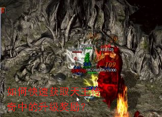 ��ο��ٻ�ȡ���������е�����������