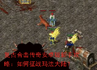 ���źϻ����氲׿�����ֹ��ԣ������ս�귨��½��