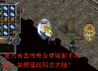 ���źϻ����氲׿�����ֹ��ԣ������ս�귨��½��