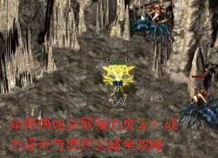 ��ο��ٻ�ȡǿ����裿ս�������뾳��ͻ��ȫ����