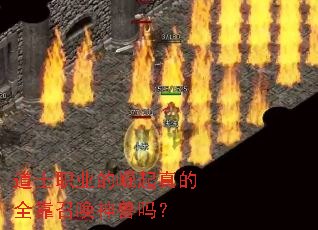 ��ʿְҵ���������ȫ���ٻ�������