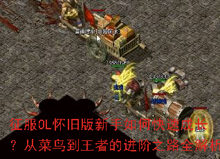 ����OL���ɰ�������ο��ٳɳ����Ӳ������ߵĽ���֮·ȫ����