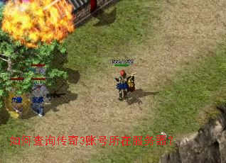 ��β�ѯ����3�˺����ڷ�������