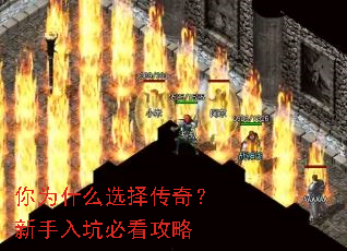 ��Ϊʲôѡ���棿������ӱؿ�����