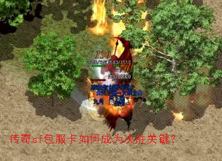 ����sf��������γ�Ϊ��ʤ�ؼ���