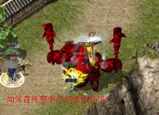 ����ڴ�����ʶ��������ꣿ