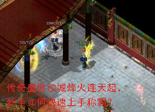 ����ʢ��ɳ�Ƿ��������������ο������ֳưԣ�