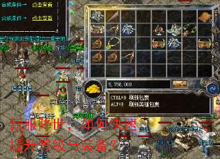 新服降世,如何快速提升等级与装备? 新服降世,如何快速提升等级与装备?