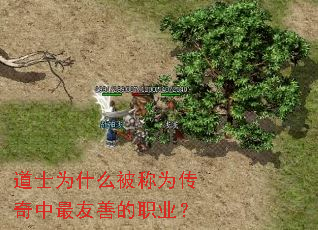 道士为什么被称为传奇中最友善的职业? 道士为什么被称为传奇中最友善的职业?