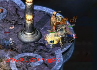 ��ο��ٴ�1������������