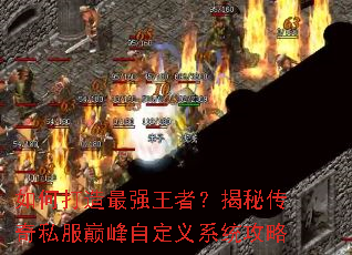 ��δ�����ǿ���ߣ����ش���˽���۷��Զ���ϵͳ����