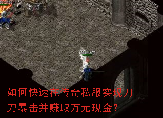 ��ο����ڴ���˽��ʵ�ֵ���������׬ȡ��Ԫ�ֽ�