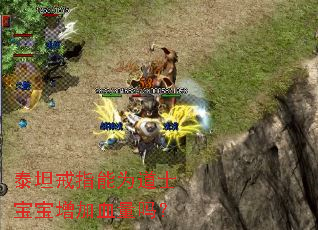 ̩̹��ָ��Ϊ��ʿ��������Ѫ����