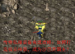 ����˽��װ���ϳɹ��ԣ���δ��켫Ʒ��������Ϊɳ�Ϳ˰�����