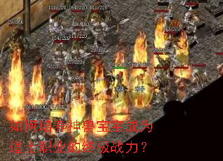 ����������ޱ�����Ϊ��ʿְҵ���ռ�ս����