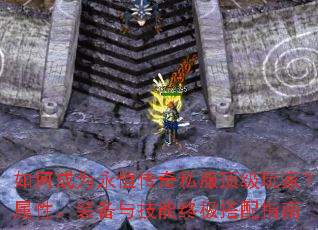 ��γ�Ϊ���㴫��˽��������ң����ԡ�װ���뼼���ռ�����ָ��