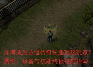 ��γ�Ϊ���㴫��˽��������ң����ԡ�װ���뼼���ռ�����ָ��